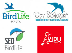 Logos des partenaires du projet : BIRDLIFE MALTA, Hellenic Ornithological society, SEO BirdLife, LIPU Onlus